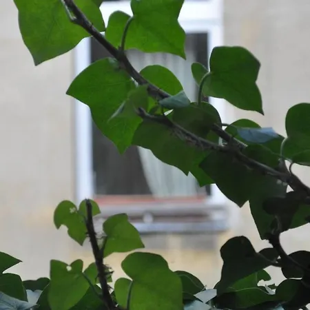 Freiraum Kreuzberg Хостел *